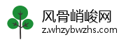风骨峭峻网